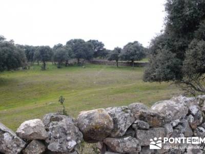 Puentes del Río Manzanares;programa de actividades;calidad en el senderismo